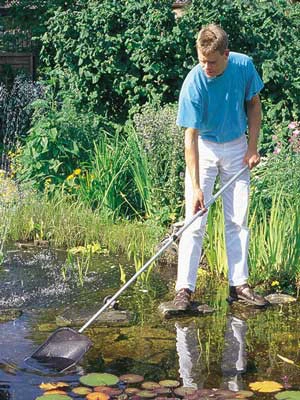 Algenkescher Gross (Art.Nr. 36297) 4 Algenkescher Gross (Art.Nr. 36297) – Bild 2