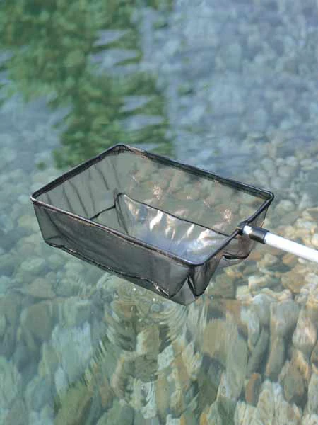 Algenkescher Klein (Art.Nr. 36298) 3 Algenkescher Klein (Art.Nr. 36298)