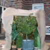 Winterschutz Mega-Vlieshaube XL ROLL-UP 2 Winterschutz Mega-Vlieshaube XL ROLL-UP -Giardino 24 XL Vlieshaube Roll Up 10 1280x1280