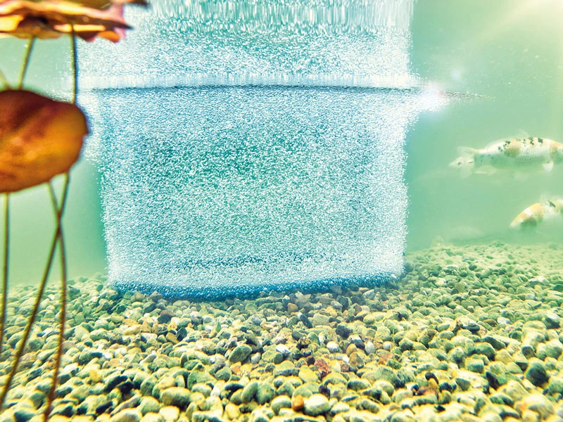 AquaOxy Belüfterring D 60 Cm Von OASE (Art.Nr. 88667) 4 AquaOxy Belüfterring D 60 Cm Von OASE (Art.Nr. 88667) – Bild 2