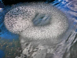 AquaOxy Belüfterring D 60 Cm Von OASE (Art.Nr. 88667) 7 AquaOxy Belüfterring D 60 Cm Von OASE (Art.Nr. 88667) -Giardino 24 beluefterring 3 1280x1280