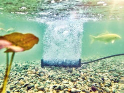 AquaOxy Belüfterstab L Von OASE (Art.Nr. 88669) 7 AquaOxy Belüfterstab L Von OASE (Art.Nr. 88669) -Giardino 24 beluefterstab l 2 1280x1280