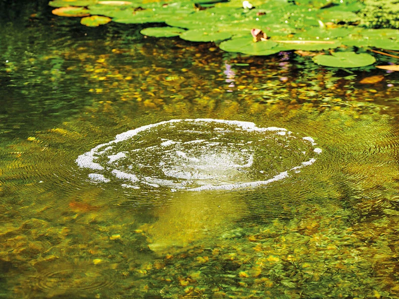 AquaOxy Belüfterstab L Von OASE (Art.Nr. 88669) 4 AquaOxy Belüfterstab L Von OASE (Art.Nr. 88669) – Bild 2