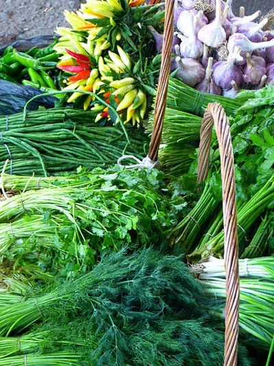 Längst Vergessene Kräuter Aus Omas Kräutergarten 3 Längst Vergessene Kräuter Aus Omas Kräutergarten