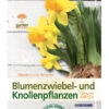 BdB-Handbuch ''Blumenzwiebeln'' -Giardino 24 blumenzwiebeln 1280x1280