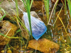 AquaActiv DuoBoost Von OASE 10 AquaActiv DuoBoost Von OASE -Giardino 24 duoboost6 1280x1280