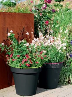 Pflanzkübel E&K Bicolor 7 Pflanzkübel E&K Bicolor -Giardino 24 eundk bicolor rund57fc9f0e47970 1280x1280