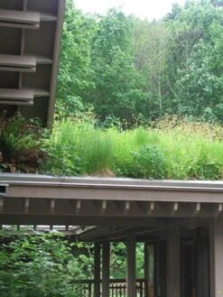 Gründach-Paket Für 15 Qm Dachfläche 7 Gründach-Paket Für 15 Qm Dachfläche -Giardino 24 gruendachpaket carport 1280x1280