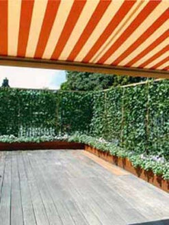 Hedera Helix 'Woerneri' - Immergrüner Efeu - XXL-Produkt 11 Hedera Helix 'Woerneri' - Immergrüner Efeu - XXL-Produkt -Giardino 24 hecke und balkon j1 78685 4 1280x1280