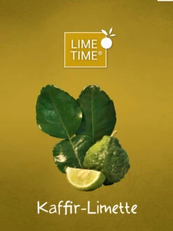 Limettenbaum 'Kaffir-Limette' - Lime Time® 9 Limettenbaum 'Kaffir-Limette' - Lime Time® -Giardino 24 kaffir limette etikett 1280x1280
