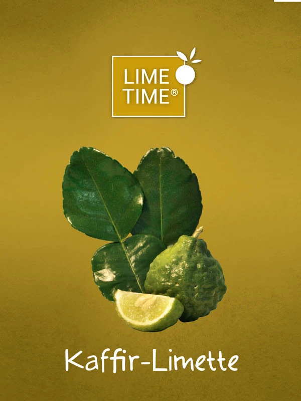 Limettenbaum 'Kaffir-Limette' - Lime Time® 4 Limettenbaum 'Kaffir-Limette' - Lime Time® – Bild 2