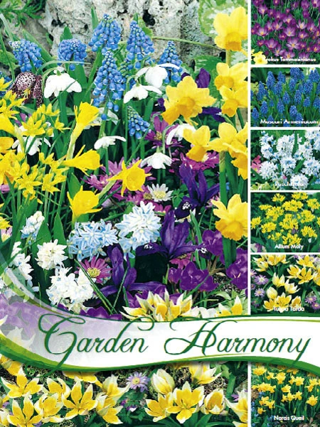 Kollektion Blumenzwiebeln Zum Verwildern (Art.Nr. 598200) 3 Kollektion Blumenzwiebeln Zum Verwildern (Art.Nr. 598200)