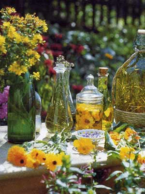 Kräutersortiment Zur Zubereitung Verschiedener Tees Oder Bowlen 3 Kräutersortiment Zur Zubereitung Verschiedener Tees Oder Bowlen