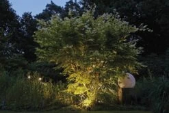 LunAqua Power LED W Von OASE (Art.Nr.42635) -Giardino 24 lunaqua power led 9 1280x1280