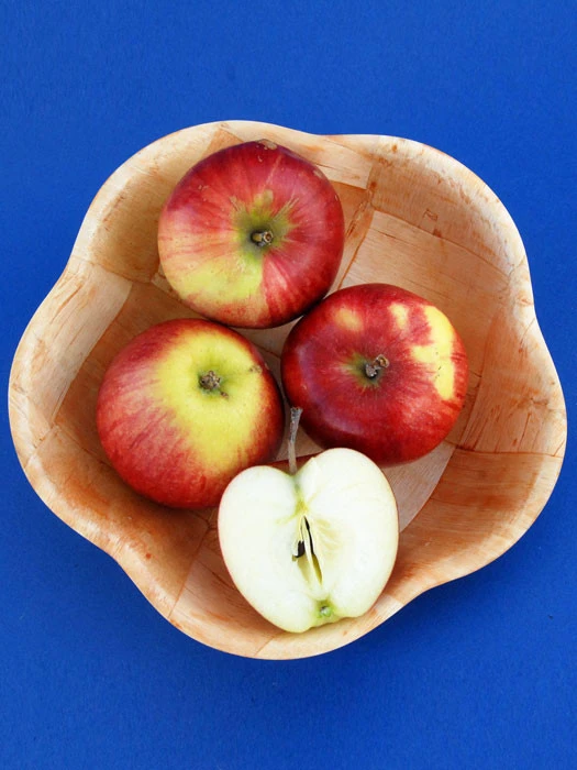 Apfel Retina (S) 3 Apfel Retina (S)