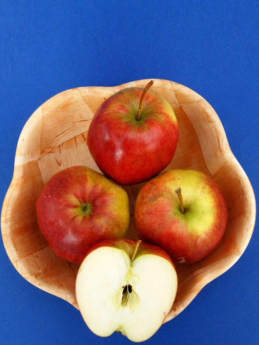 Apfel Rewena (S) 4 Apfel Rewena (S) – Bild 2