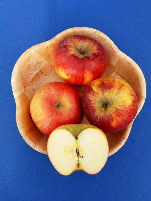 Apfel Topaz (S) 4 Apfel Topaz (S) – Bild 2