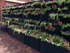 Overgrowing Mat Von Velda (Art.Nr.Vel127590) 7 Overgrowing Mat Von Velda (Art.Nr.Vel127590) -Giardino 24 overgrowing mat beispiel 1280x1280