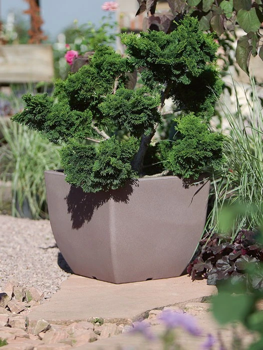 Pflanztopf Ravenna 5 Pflanztopf Ravenna – Bild 3