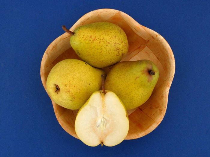 Birne Alexander Lucas 4 Birne Alexander Lucas – Bild 2