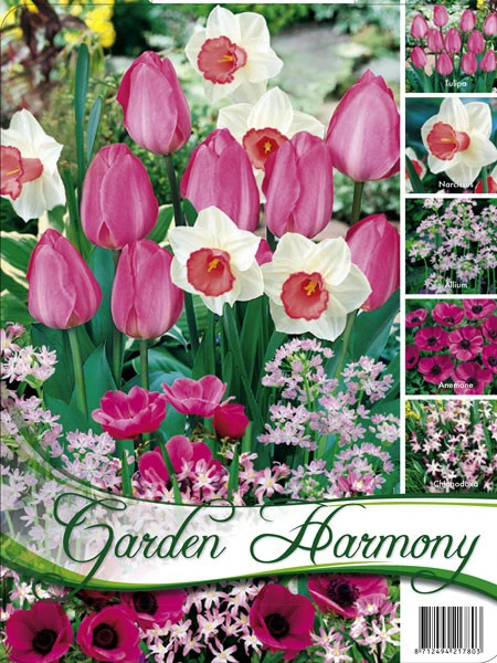 Edle Farbkombination 'Rosa Garten' (Art.Nr. 598242) 3 Edle Farbkombination 'Rosa Garten' (Art.Nr. 598242)