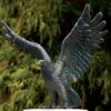Bronzefigur Seeadler Klein (Art.Nr. 88631) 2 Bronzefigur Seeadler Klein (Art.Nr. 88631) -Giardino 24 seeadler bronze klein 1280x1280