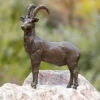 Bronzefigur Steinbock Klein (Art.Nr. 88579) -Giardino 24 steinbock bronze klein 1280x1280