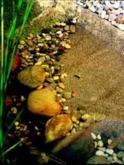 Steinfolie Sand Von OASE 7 Steinfolie Sand Von OASE -Giardino 24 steinfolie j33 1280x1280