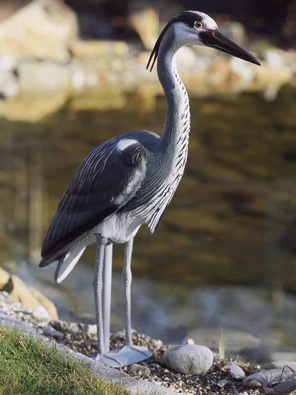 Teichfigur Fischreiher (Art.Nr. 36868) 3 Teichfigur Fischreiher (Art.Nr. 36868)