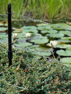 Ultra Protector Von Velda (Art.Nr.Vel128026) -Giardino 24 ultraprotector 2 1280x1280